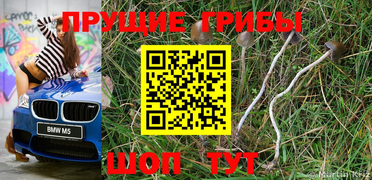 Галлюциногенные грибы прущие грибы Красногорск